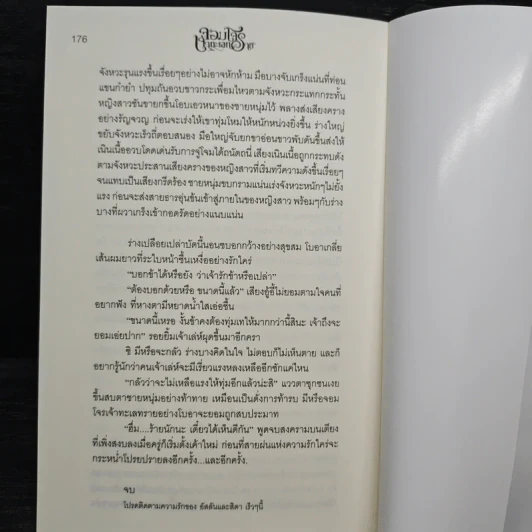 จอมโจรเจ้าทะเลทราย - การะเกด รูปที่ 8