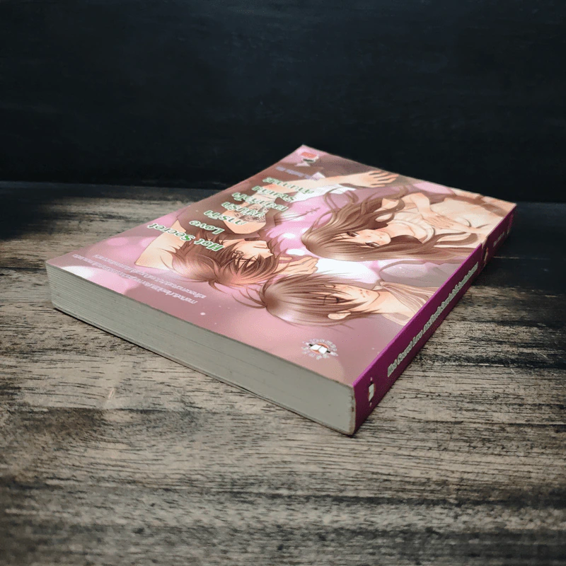 Hot Secret Love ภารกิจขยับรักเขย่าหัวใจร้ายเกินต้านทาน! - Hideko_Sunshine รูปที่ 5