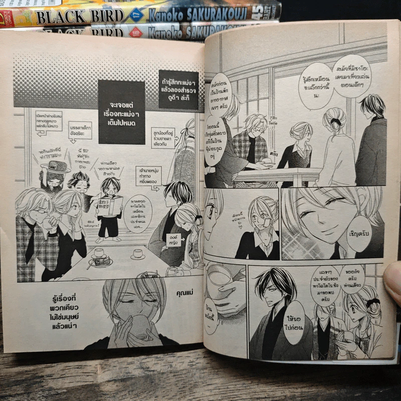 Black Bird 18 เล่มจบ รูปที่ 7