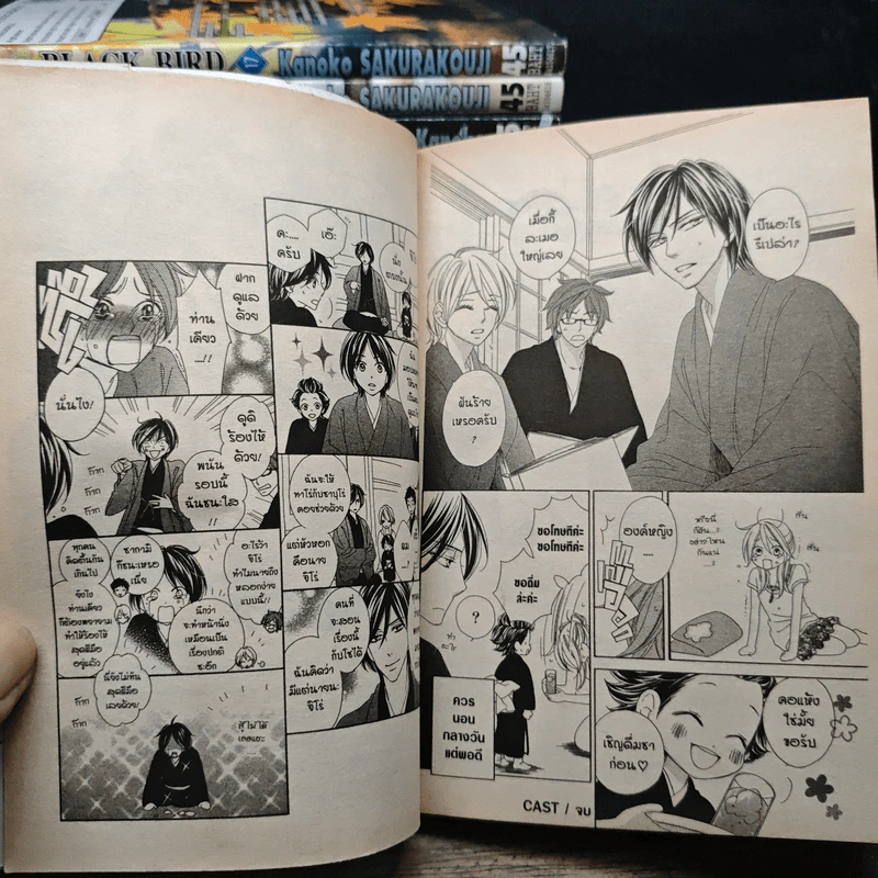 Black Bird 18 เล่มจบ รูปที่ 9