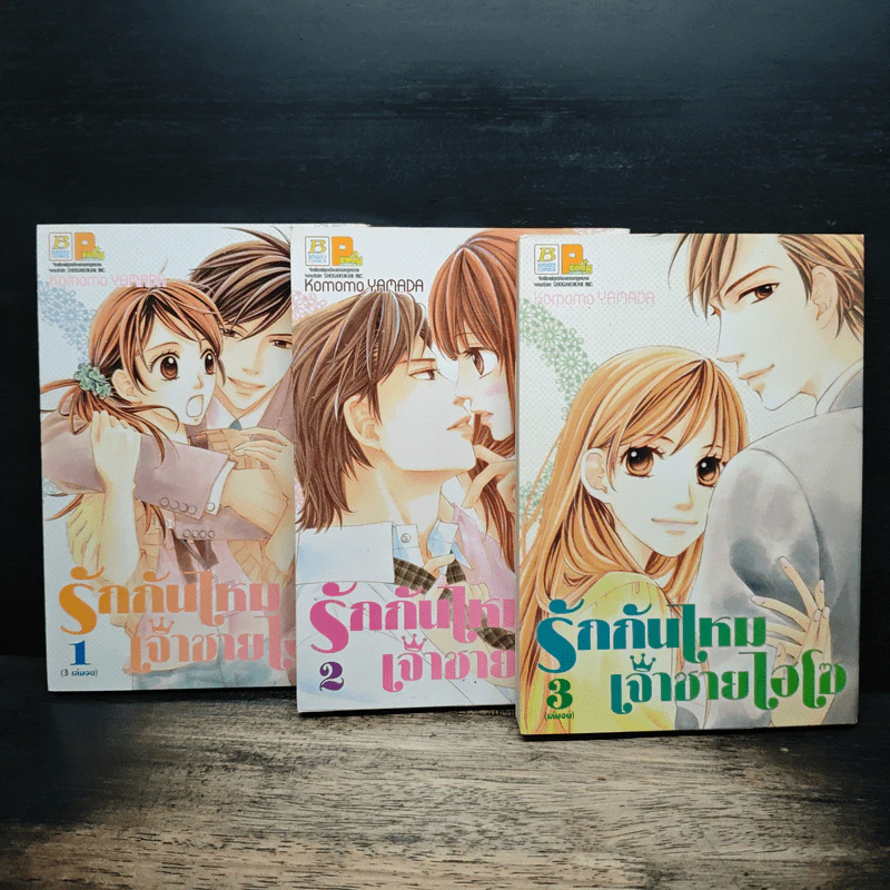 รักกันไหม เจ้าชายไฮโซ 3 เล่มจบ รูปที่ 1