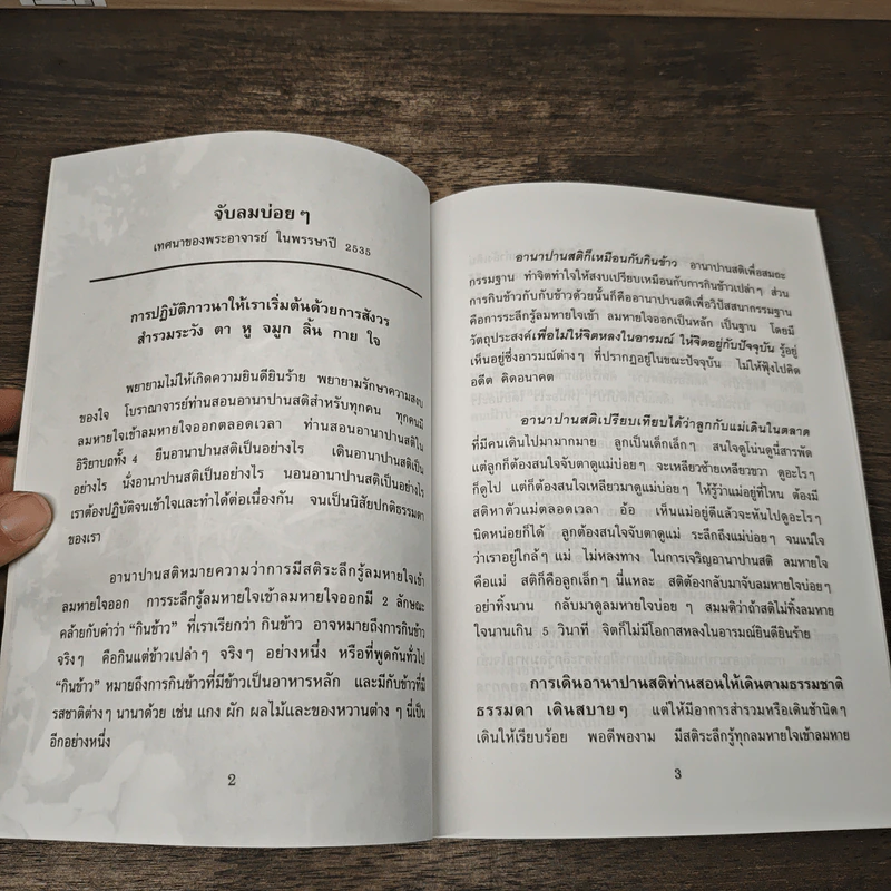 จับลมบ่อยๆ - พระอาจารย์มิตซูโอะ คเวสโก รูปที่ 7