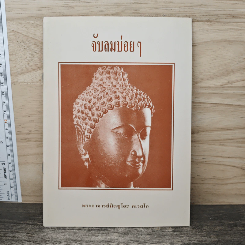 จับลมบ่อยๆ - พระอาจารย์มิตซูโอะ คเวสโก รูปที่ 1