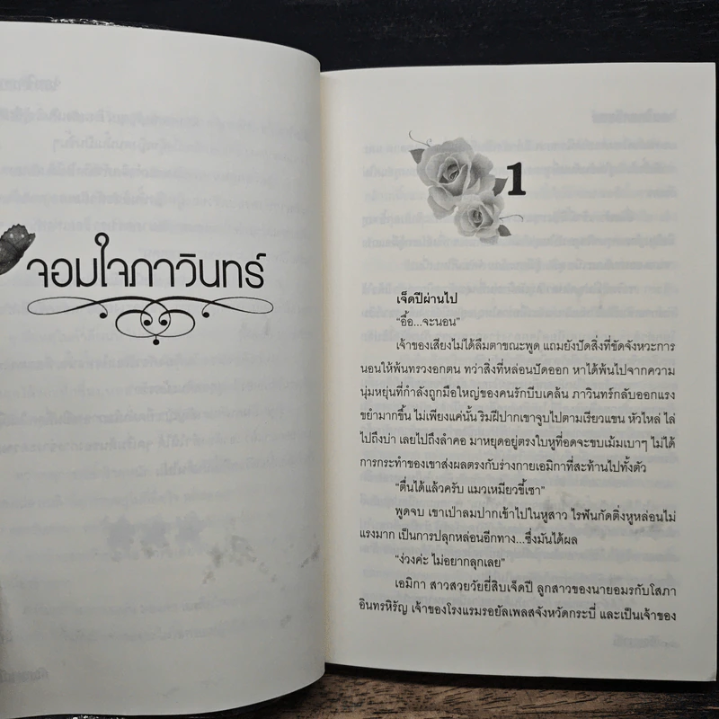 จอมใจภาวินทร์ - อัญญาณี รูปที่ 8
