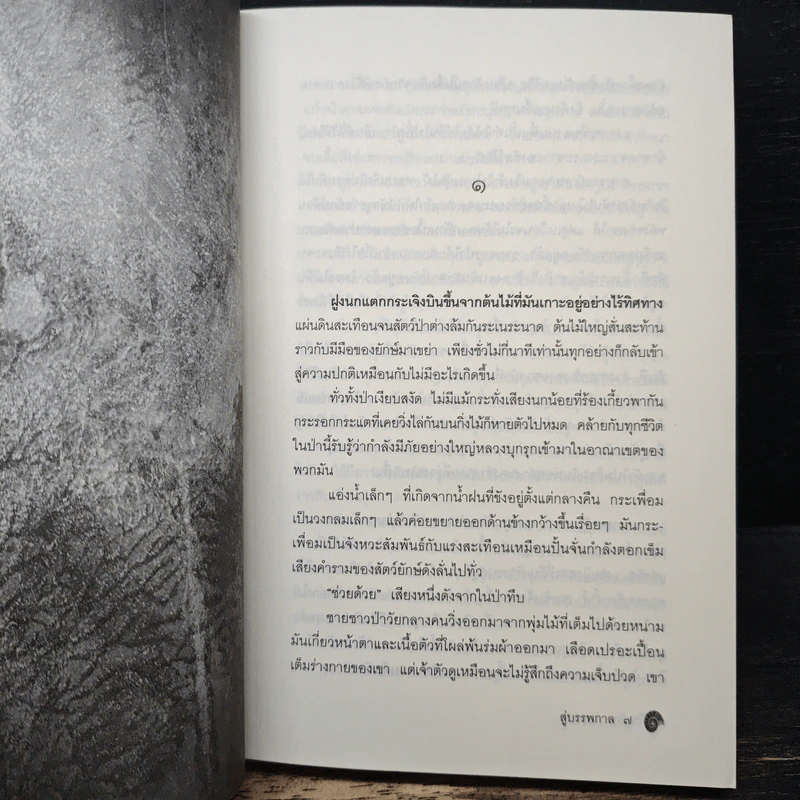 สู่บรรพกาล - จีริหทัย รูปที่ 7