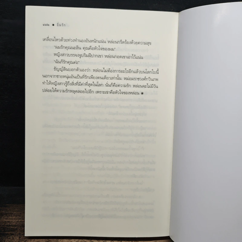 อิ่มรัก - เก้าแต้ม รูปที่ 8