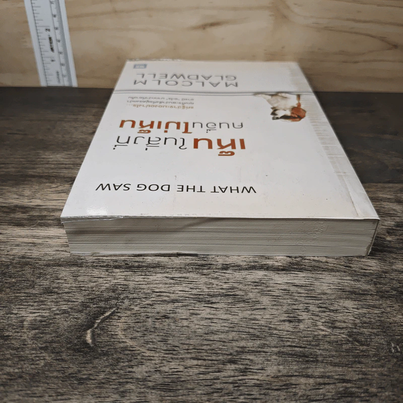 เห็นในสิ่งที่คนอื่นไม่เห็น - Malcolm Gladwell รูปที่ 4