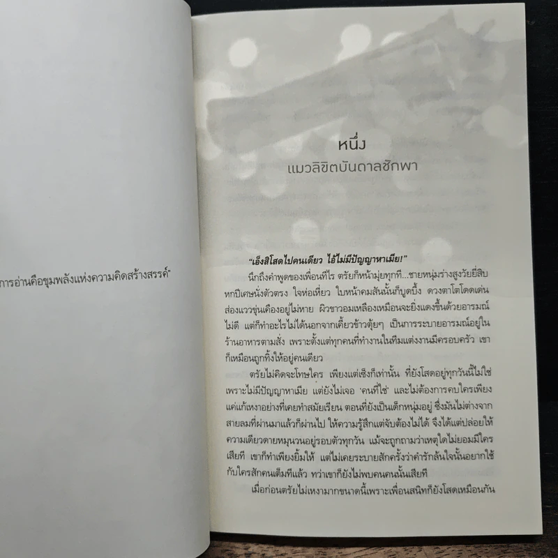 ผู้พิทักษ์รักสุดใจ - กรกานท์ รูปที่ 7
