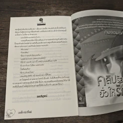 บอดี้การ์ดวีไอพี - กมลอมเรศ รูปที่ 8
