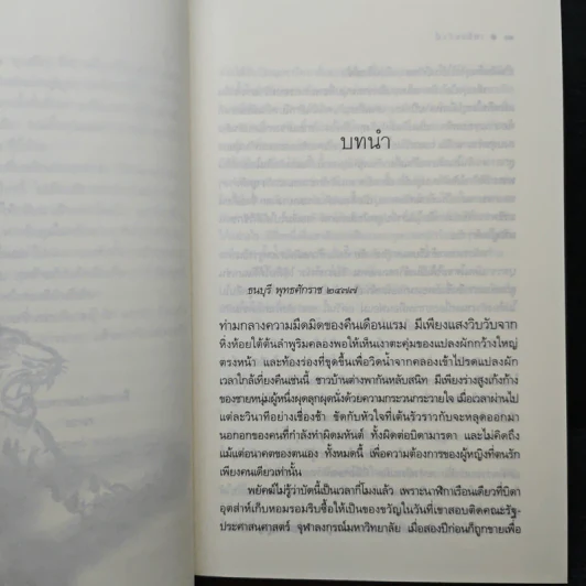 ชุดเลือดทระนง เพลิงพยัคฆ์ - ณารา รูปที่ 7