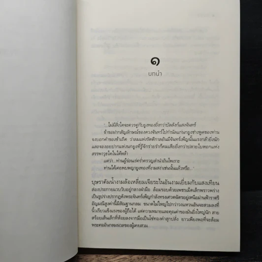 วินธัย - ศรีสุรางค์ รูปที่ 7
