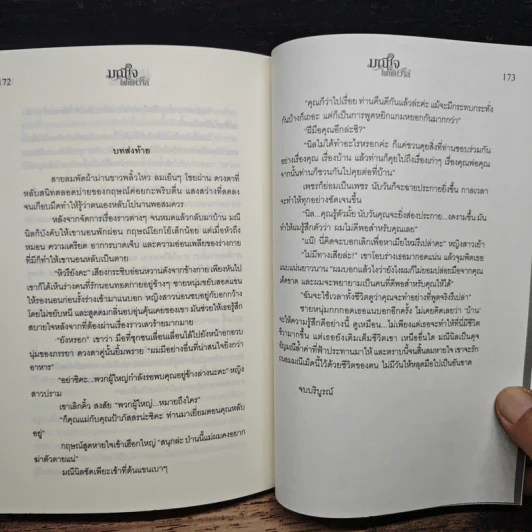 มณีใจไฟพิศวาส - นริน รูปที่ 9