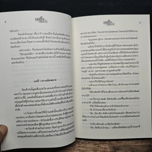 มณีใจไฟพิศวาส - นริน รูปที่ 8