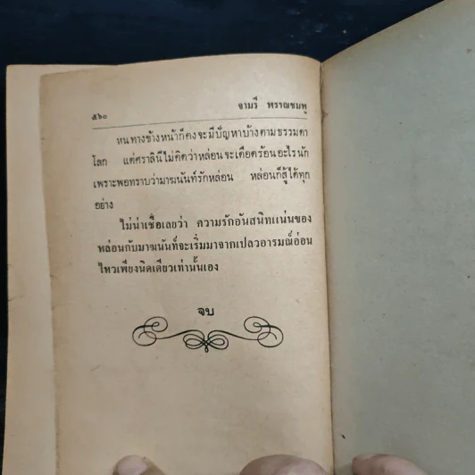 เปลวอารมณ์ - จามรี พรรณชมพู รูปที่ 9