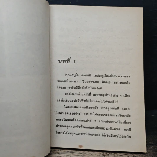 ใต้เงาบาป - จามรี พรรณชมพู รูปที่ 6