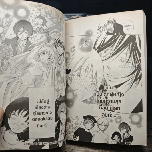 Kings of My Love อลเวงรักหนุ่มสุดฮอต 12 เล่มจบ - Chitose Yagami รูปที่ 8