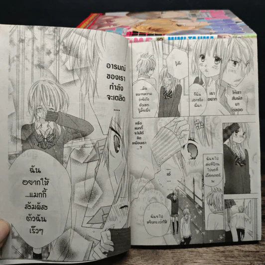 School Time 17 เล่มจบ รูปที่ 7