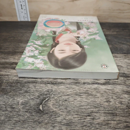 หน้ากากลวง - เจี๋ยเกิ่ง รูปที่ 4