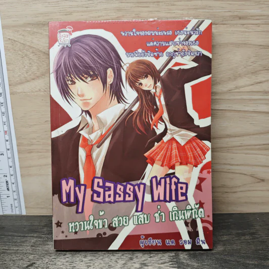 My Sassy Wife หวานใจข้า สวย แสบ ซ่า เกินพิกัด - แด วอม มิน รูปที่ 1