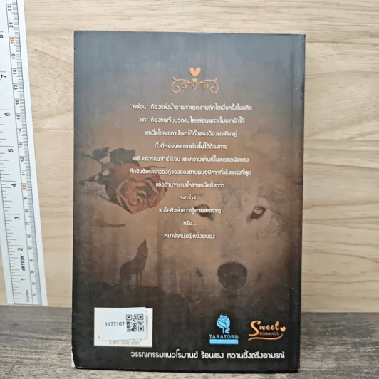 เสน่ห์จ้าวหมาป่า - จิ้งจอกทมิฬ รูปที่ 5