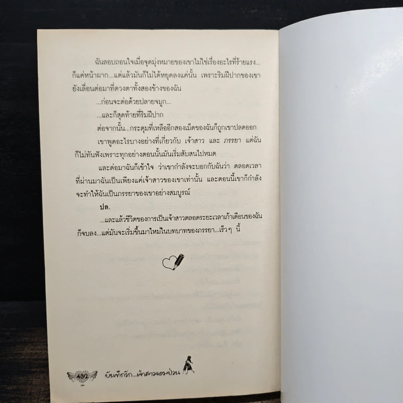 บันทึกรัก...เจ้าสาวจอมป่วน - สุรกี รูปที่ 8