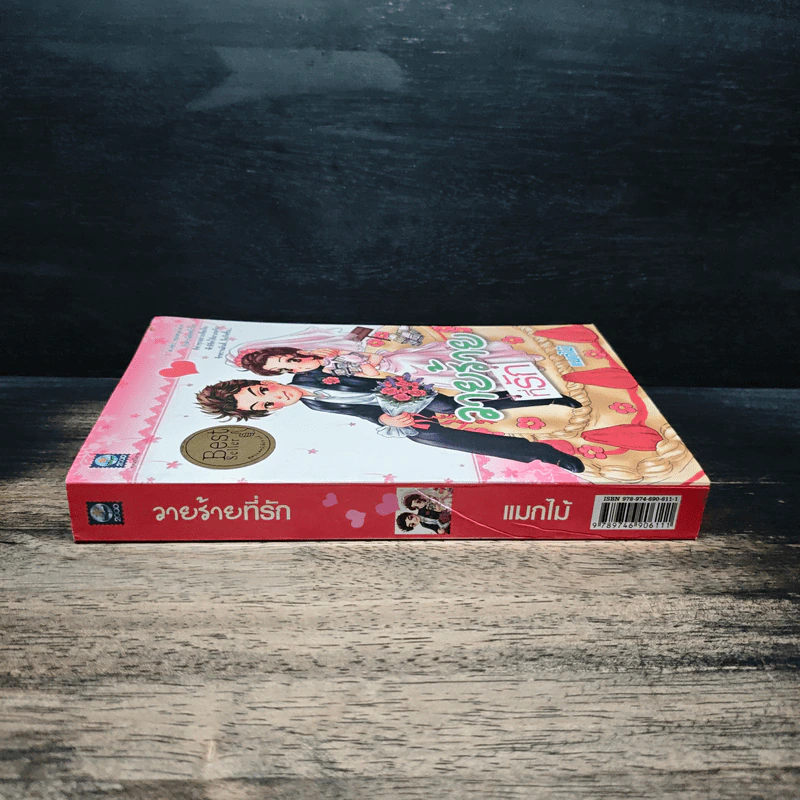 วายร้ายที่รัก - แมกไม้ รูปที่ 3