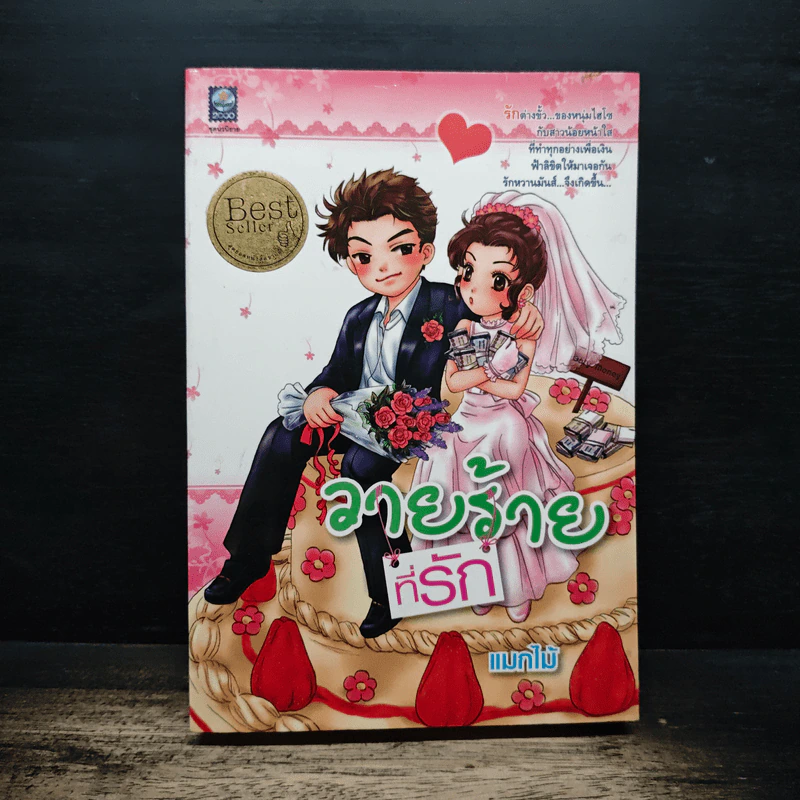 วายร้ายที่รัก - แมกไม้ รูปที่ 1