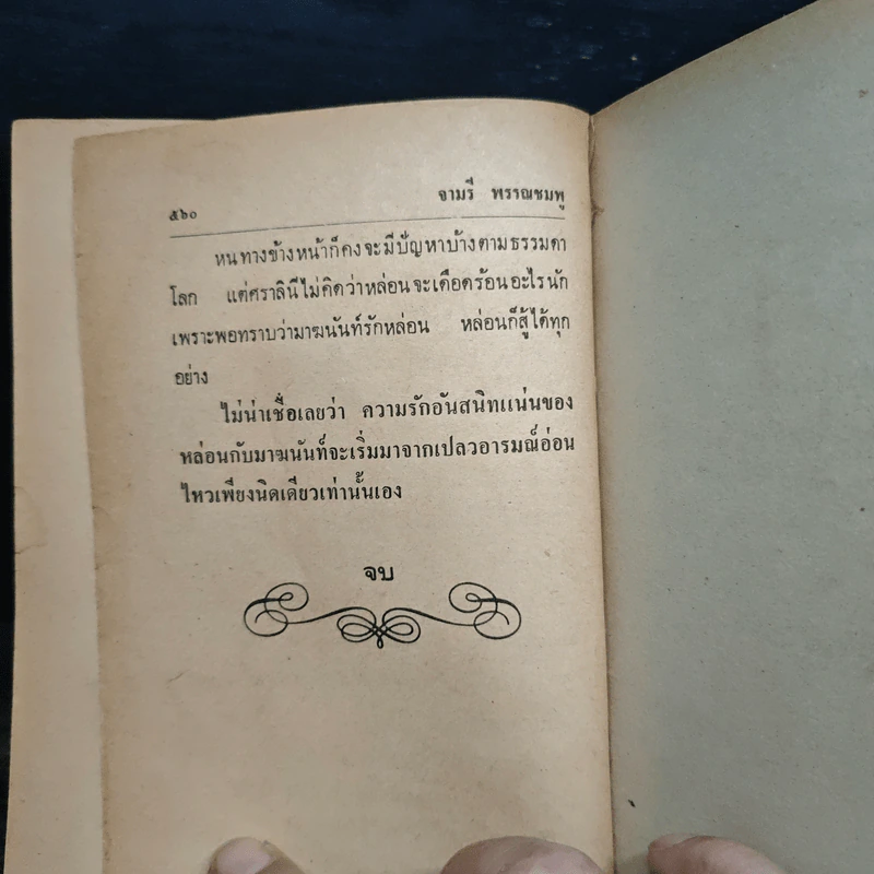 เปลวอารมณ์ - จามรี พรรณชมพู รูปที่ 9