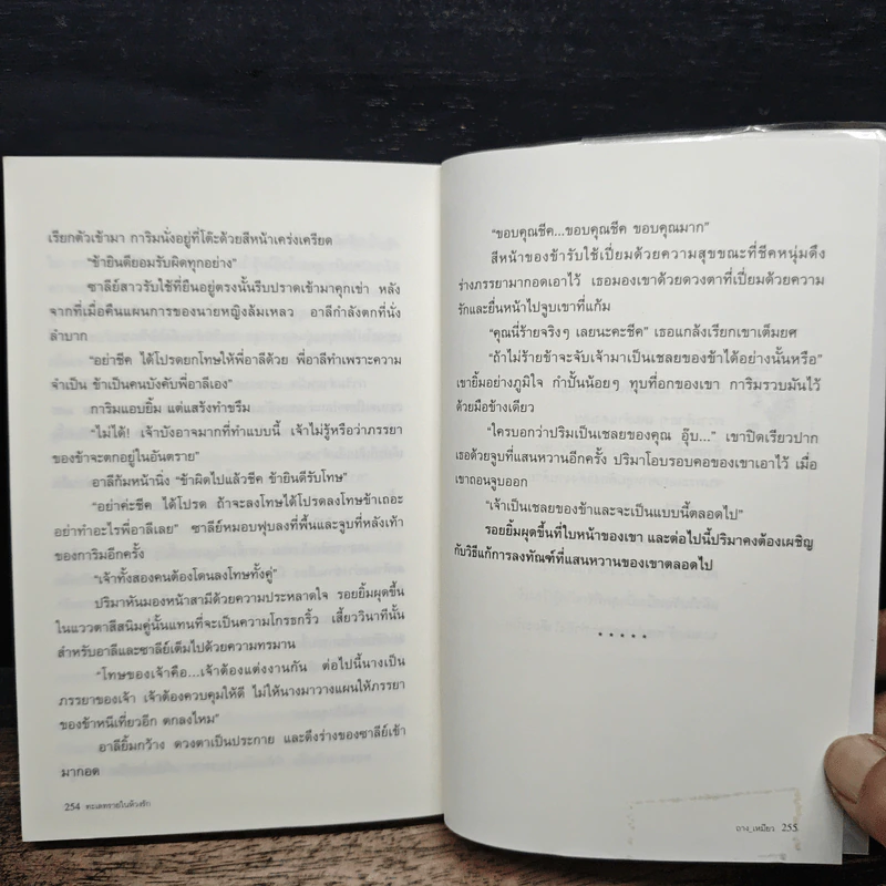 ทะเลทรายในห้วงรัก - ถาง_เหมียว รูปที่ 8