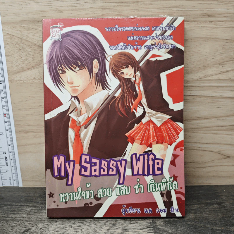 My Sassy Wife หวานใจข้า สวย แสบ ซ่า เกินพิกัด - แด วอม มิน รูปที่ 1