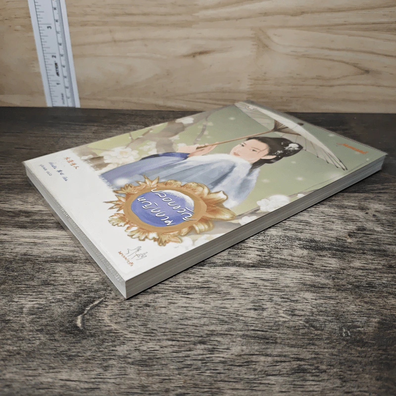 ปลอบขวัญหญิงงาม - เตี่ยนซิน รูปที่ 3