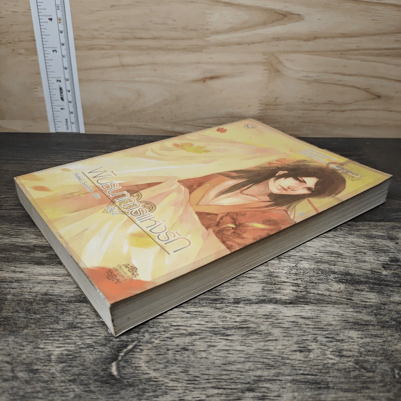 พันธนาการแห่งรัก เล่ม 2 - Hideko_Sunshine รูปที่ 3