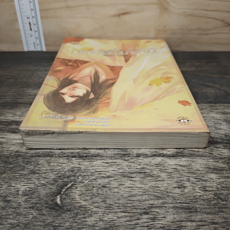 พันธนาการแห่งรัก เล่ม 2 - Hideko_Sunshine รูปที่ 4
