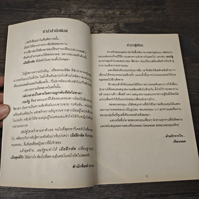 สอนรักเมียฝึกหัด - เทียนหยด รูปที่ 7
