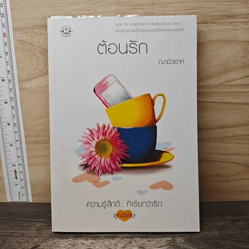 ต้อนรัก - ฌามิวอาห์ รูปที่ 1