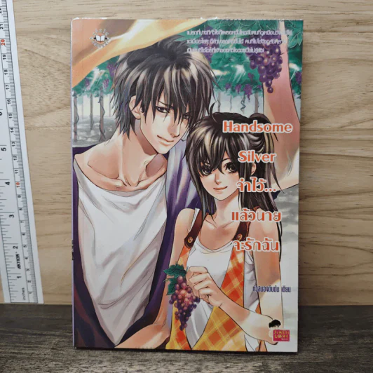 Handsome Silver จำไว้...แล้วนายจะรักฉัน - หัวสมองตีบตัน รูปที่ 1