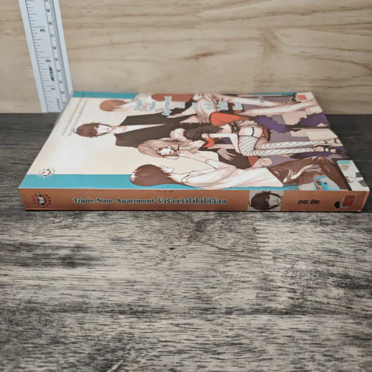 Triple Nine Apartment รักร้ายหัวใจไม่ได้ล็อค - ลูกชุบ รูปที่ 2