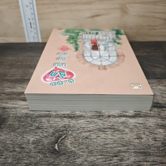 สะดุดรักยายถังข้าว เล่ม 2 - Jiu Xiao Qi, พัดลม รูปที่ 4