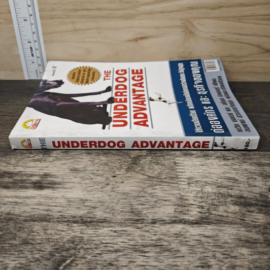 The Underdog Advantage ต่อองค์กรและธุรกิจของคุณ - เดวิด บอเร่ย์ รูปที่ 2