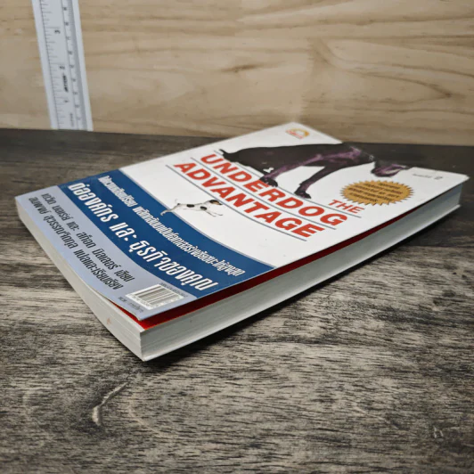 The Underdog Advantage ต่อองค์กรและธุรกิจของคุณ - เดวิด บอเร่ย์ รูปที่ 3