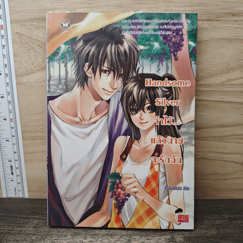 Handsome Silver จำไว้...แล้วนายจะรักฉัน - หัวสมองตีบตัน รูปที่ 1