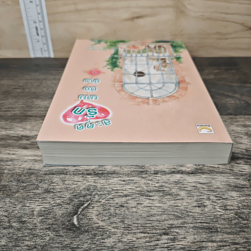 สะดุดรักยายถังข้าว เล่ม 1 - Jiu Xiao Qi, พัดลม รูปที่ 4
