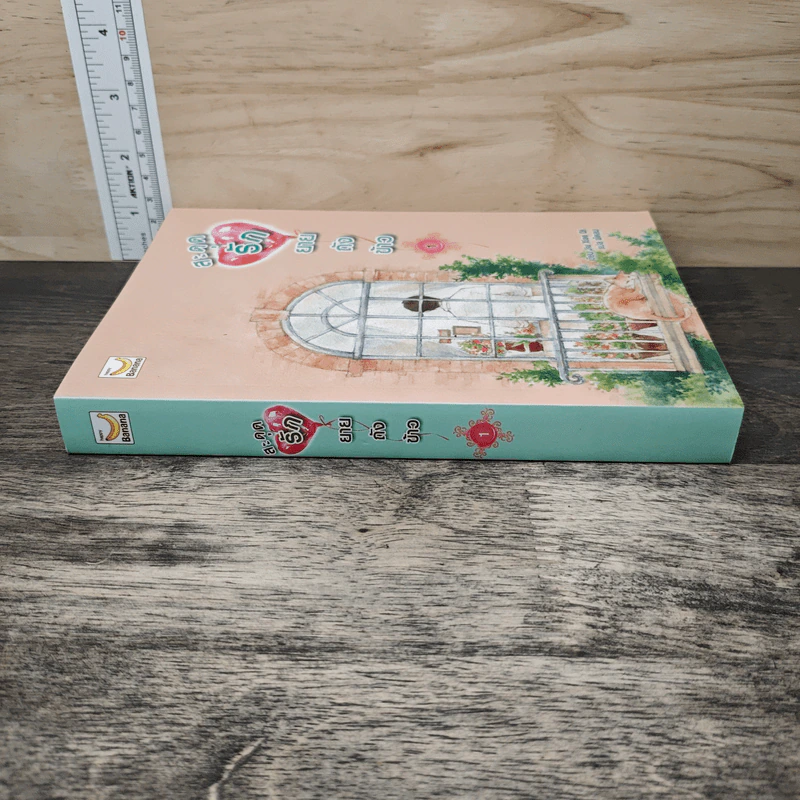 สะดุดรักยายถังข้าว เล่ม 1 - Jiu Xiao Qi, พัดลม รูปที่ 2