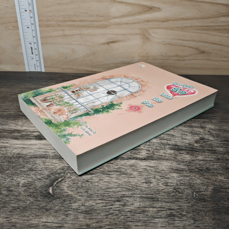 สะดุดรักยายถังข้าว เล่ม 1 - Jiu Xiao Qi, พัดลม รูปที่ 3