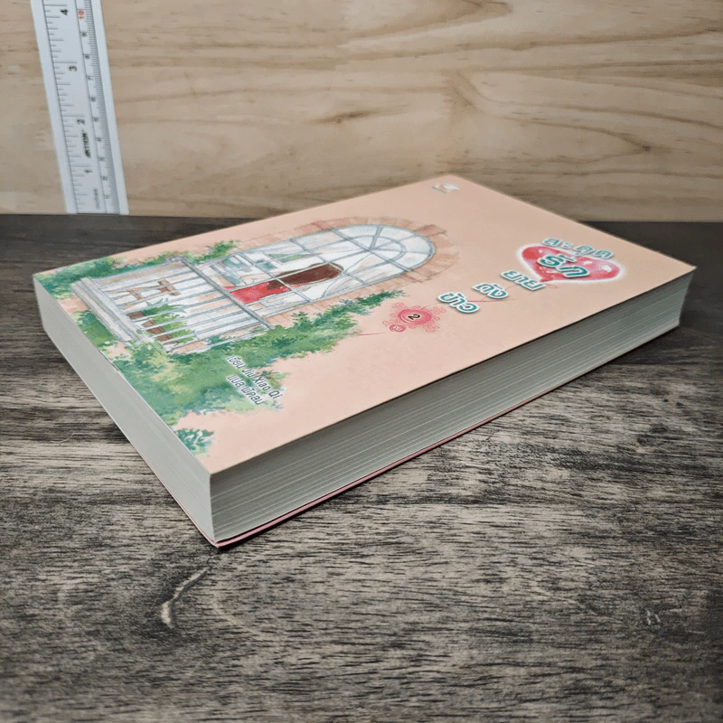 สะดุดรักยายถังข้าว เล่ม 2 - Jiu Xiao Qi, พัดลม รูปที่ 3