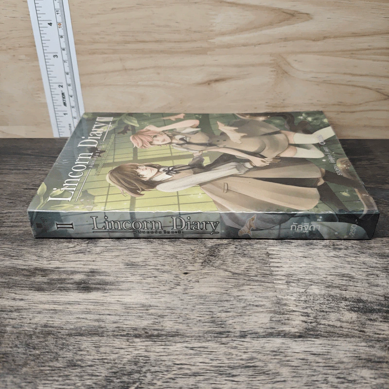 Lincorn Diary ภาคพิเศษของเซวีน่ามหานครแห่งมนตรา เล่ม 2 - กัลฐิดา รูปที่ 2