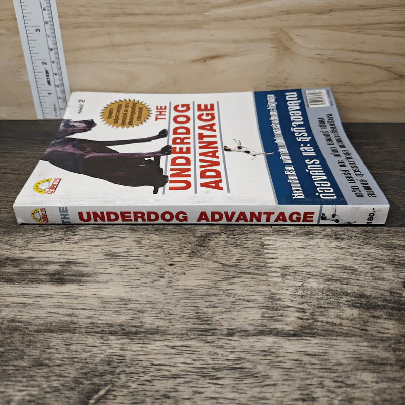 The Underdog Advantage ต่อองค์กรและธุรกิจของคุณ - เดวิด บอเร่ย์ รูปที่ 2
