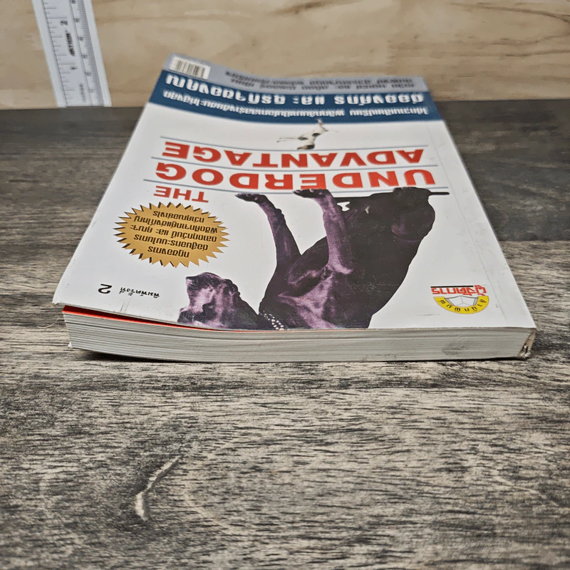 The Underdog Advantage ต่อองค์กรและธุรกิจของคุณ - เดวิด บอเร่ย์ รูปที่ 4