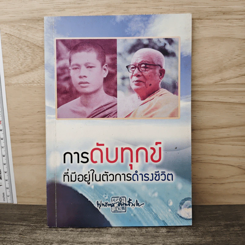 การดับทุกข์ที่มีอยู่ในตัวการดำรงชีวิต รูปที่ 1