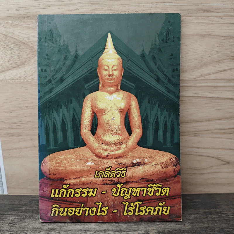 เคล็ดวิธี แก้กรรม-ปัญหาชีวิต กินอย่างไร-ไร้โรคภัย รูปที่ 1